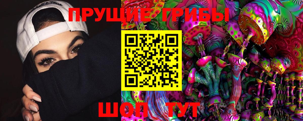 Галлюциногенные грибы Magic Shrooms  Псилоцибиновые грибы ЛСД  Вязники  Вход с VPN 