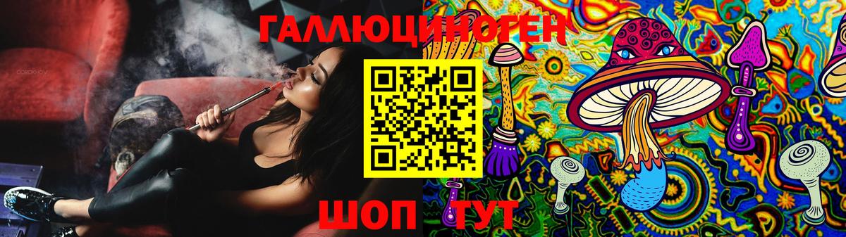 Псилоцибиновые грибы GOLDEN TEACHER Вязники